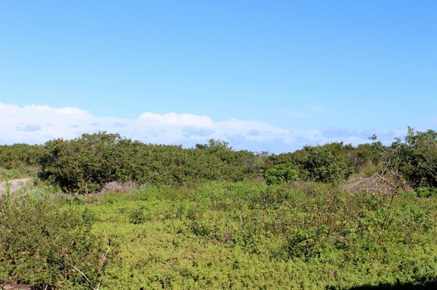 0 Bedroom Property for Sale in Forest Downs Eastern Cape